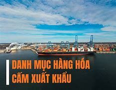 Danh Mục Gỗ Cấm Xuất Khẩu