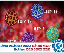 Hpv Type 58 Có Chữa Được Không