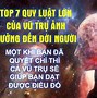 Luật Hấp Dẫn Vũ Trụ Là Gì