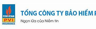 Tổng Công Ty Bảo Hiểm Pvi (Pvi Insurance)