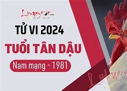 Tử Vi Tuổi Dậu 1981 Nam Mạng 2024