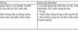 Ví Dụ Về Quan Hệ Hỗ Trợ Sinh 12